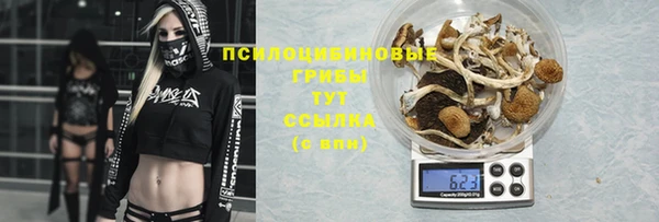 скорость mdpv Михайлов
