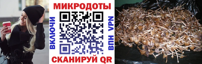 Псилоцибиновые грибы Magic Shrooms  Купить где  Новороссийск 